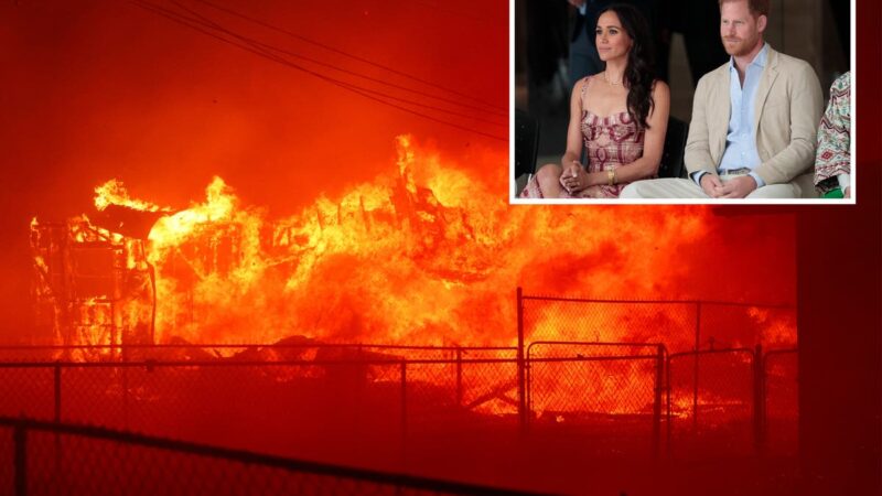 Harry and Meghan are urging people to open their homes to victims of the Los Angeles fires as they shelter friends fleeing the blaze.