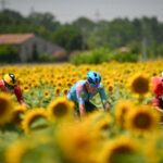 Tour de France 2025 Live: Stage 11 of the route and today’s updates while Ben Hall takes yellow shirts in Toulouse