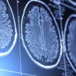 Your brain can grow older – not smaller – with age. That’s what we know